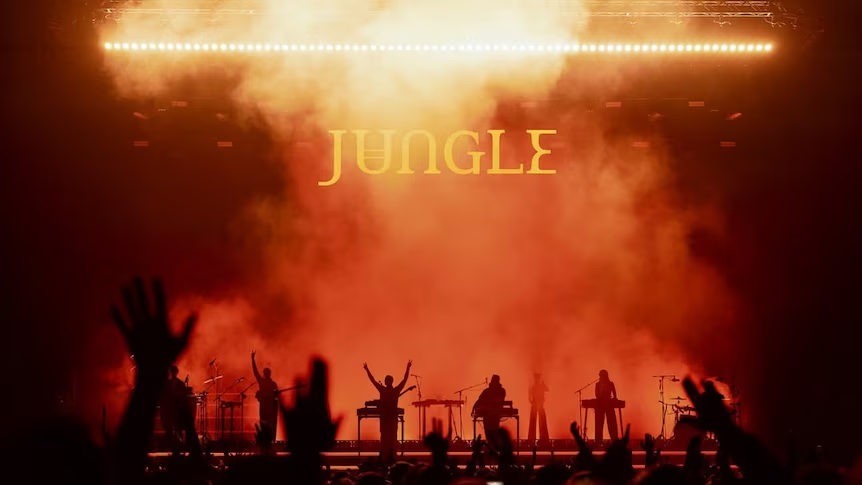 Jungle Sydney