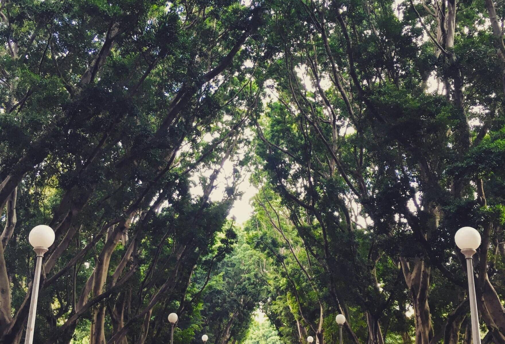 Hyde Park Sydney